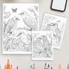 Birdsong Nature – 10 Tranquil Bird Coloring Pages - Image 4